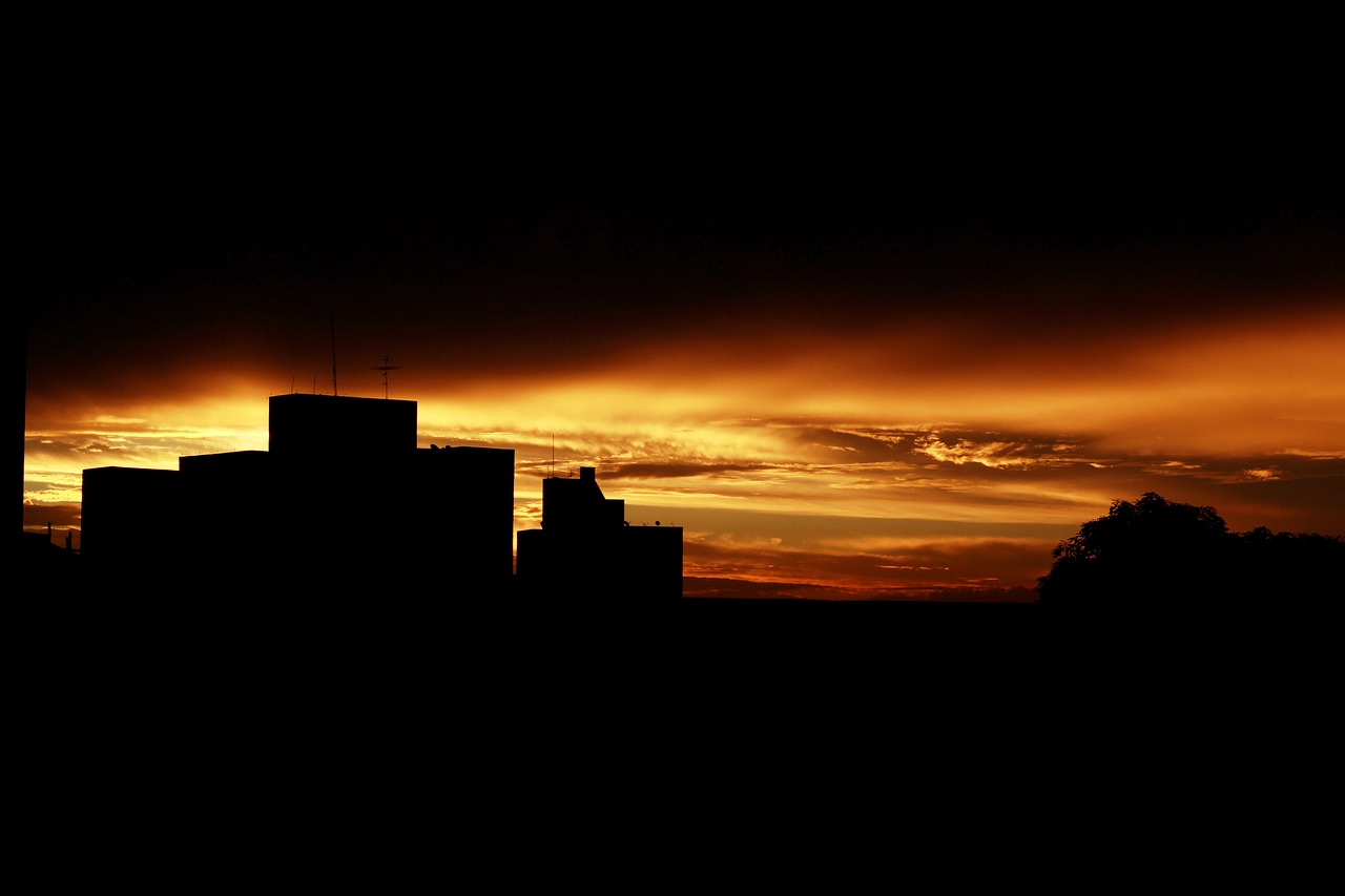 sunset horizon sol free photo