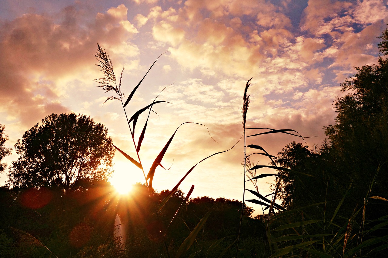 sunset dusk evening free photo