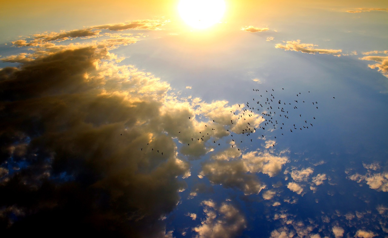 sunset birds cloud free photo