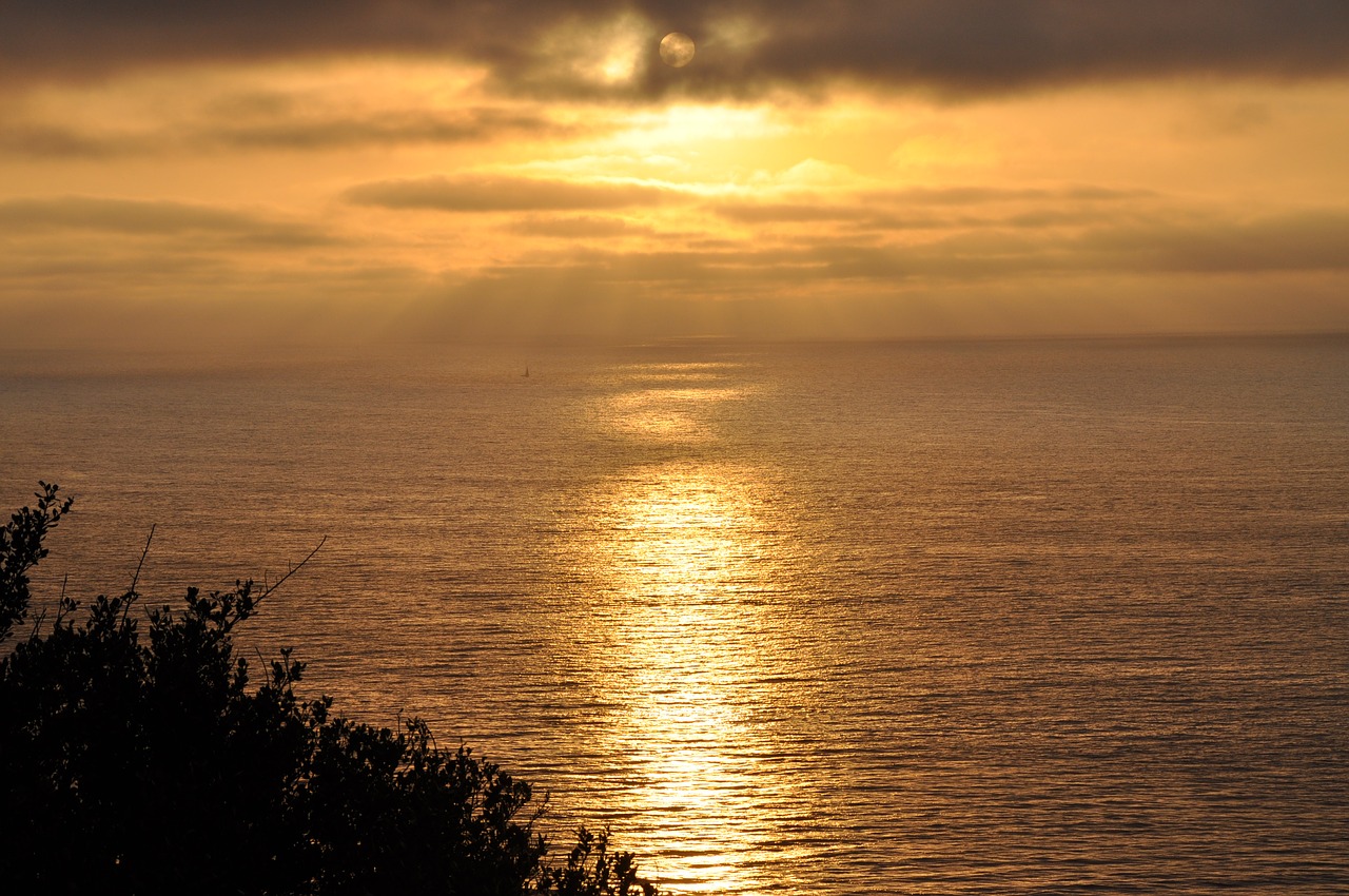 sunset sailing boat free photo