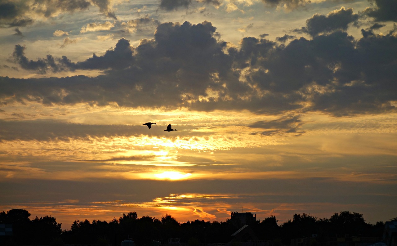 sunset evening clouds free photo