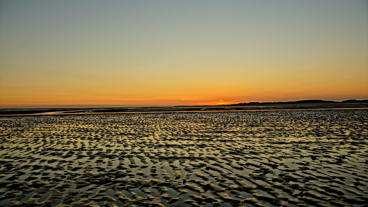 sunset intertidal zone low tide free photo