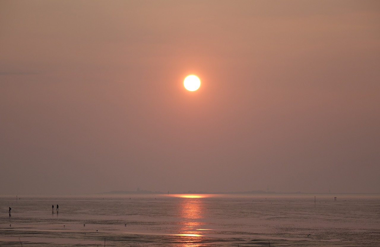 sunset wadden sea north sea free photo