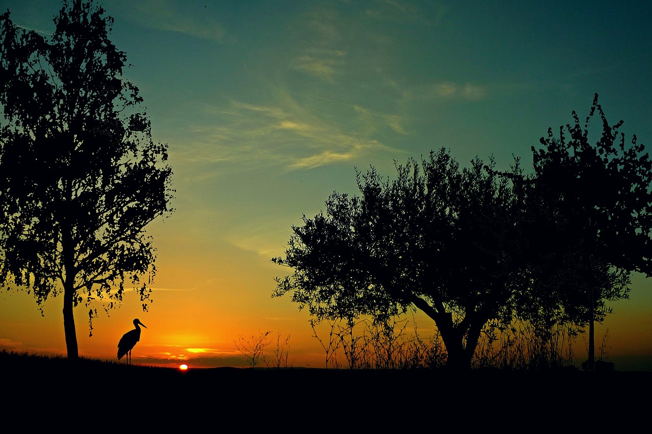 sunset landscape evening sky free photo