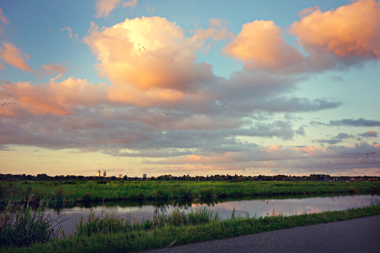 sunset sky evening free photo