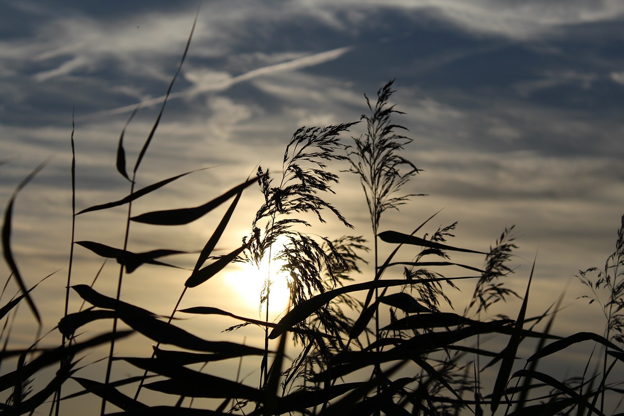 sunset sky clouds free photo