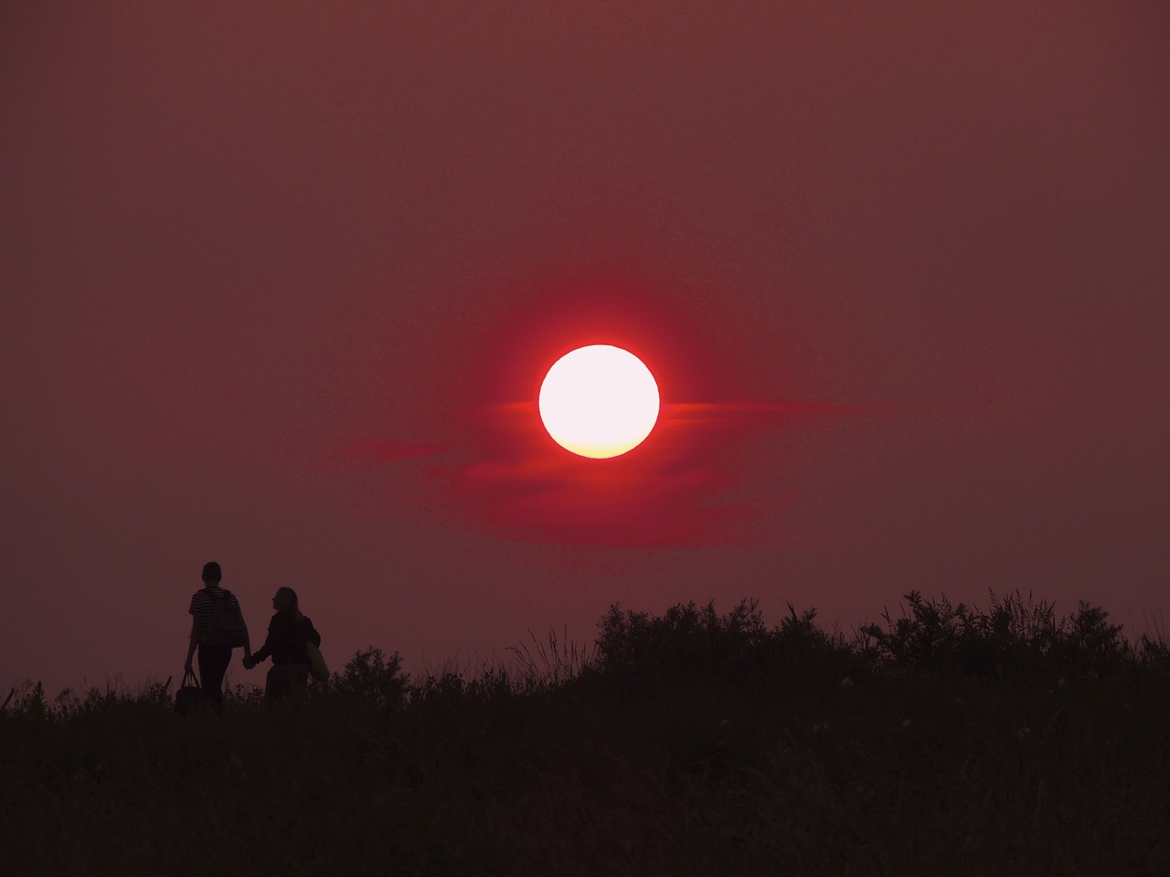 sunset red pair free photo