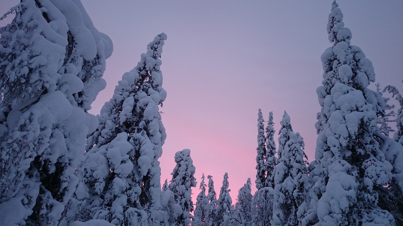 sunset snow winter free photo