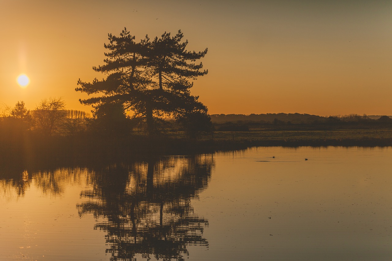 sunset nature orange free photo