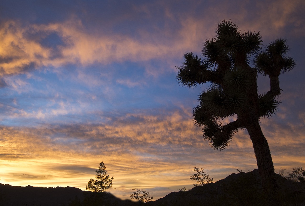 sunset landscape mountains free photo