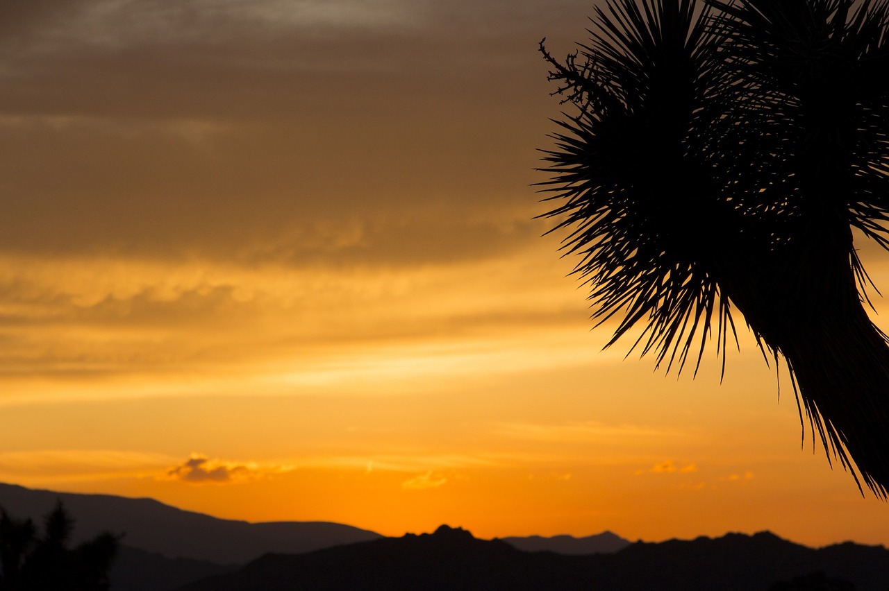 sunset landscape mountains free photo