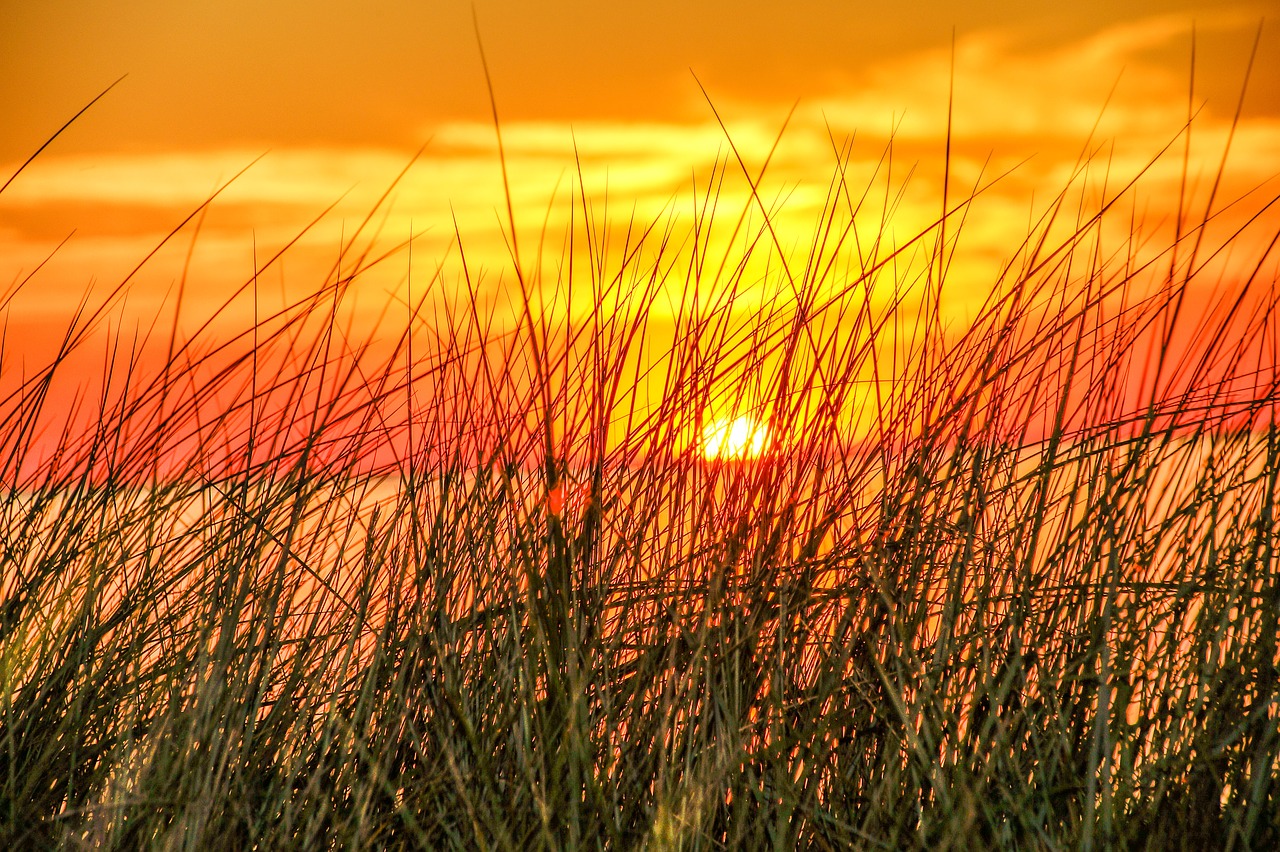 sunset romance abendstimmung free photo