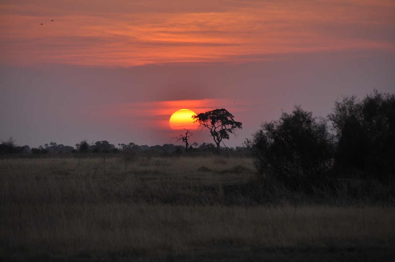 sunset botswana okavango free photo