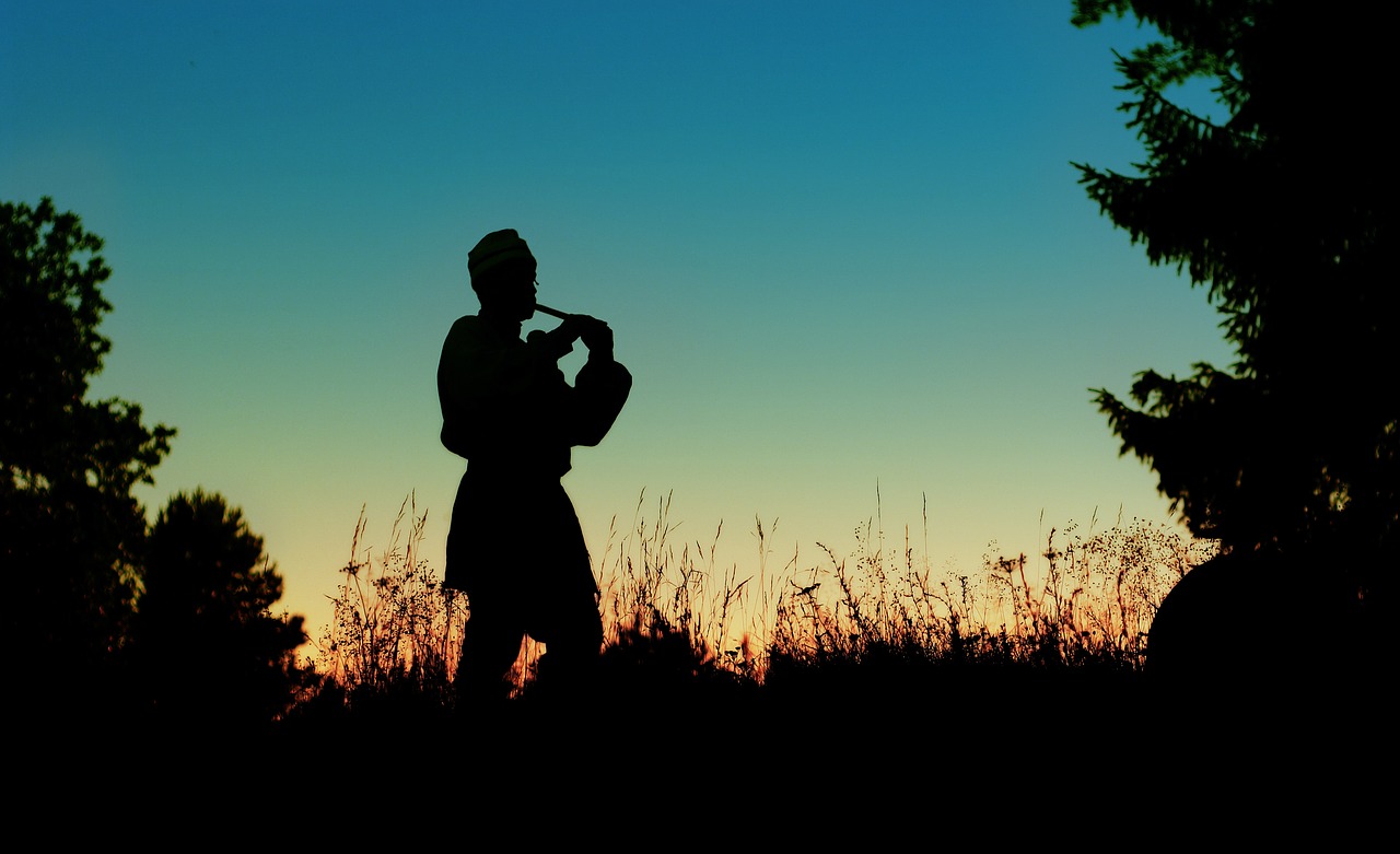 sunset silhouette musician free photo