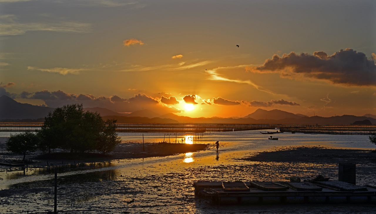 sunset yanzhoudao shoals free photo