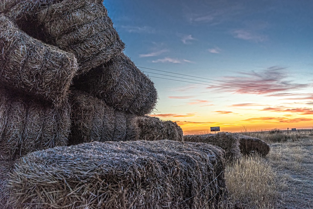 sunset dusk castilla free photo