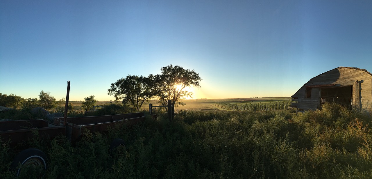 sunset farm barn free photo