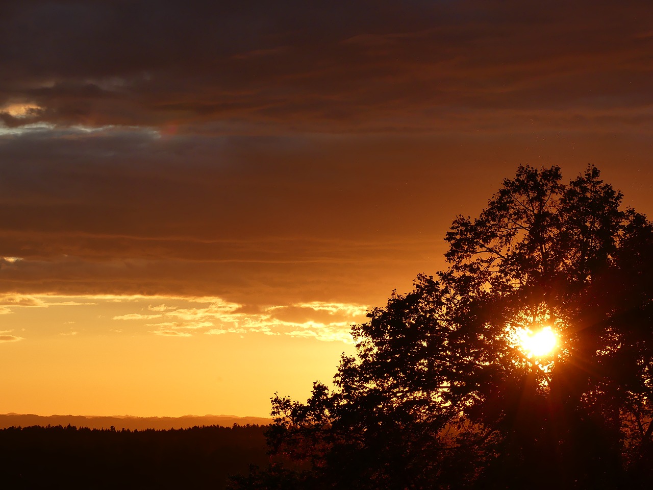 sunset evening dark free photo