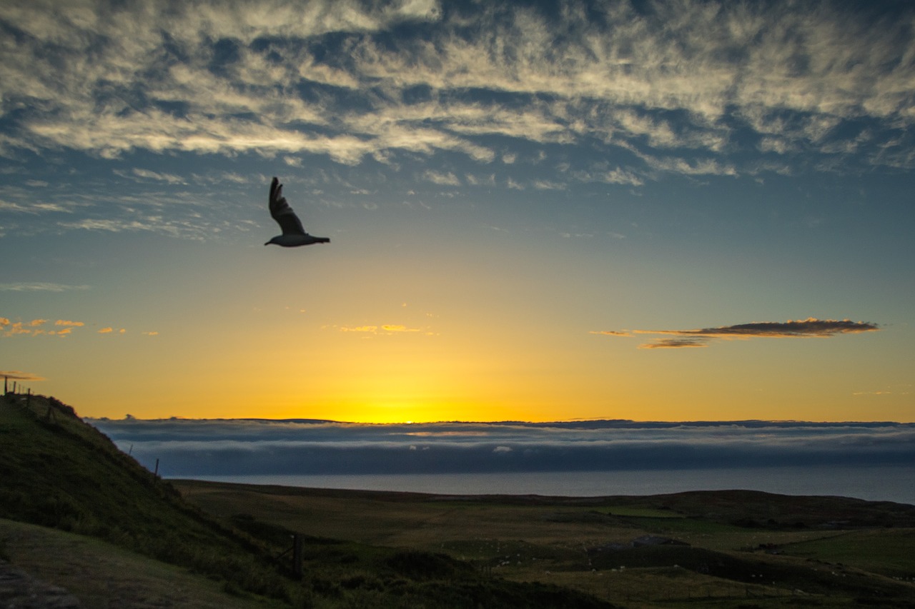 sunset ocean clouds free photo