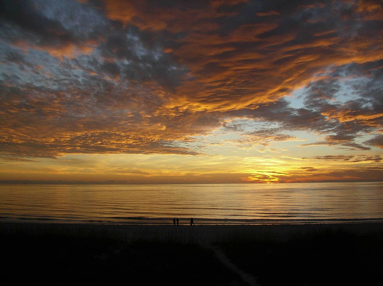 sunset gulf coast florida free photo
