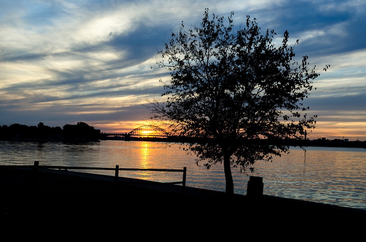 sunset delaware river tree free photo