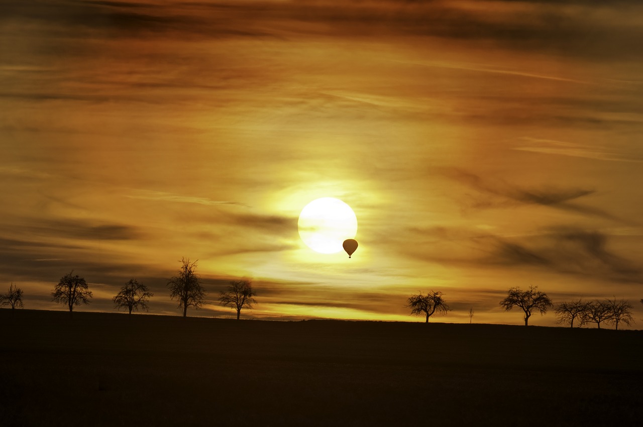 sunset balloon trees free photo