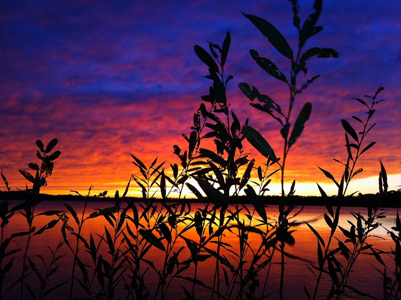 sunset wisconsin powers lake free photo