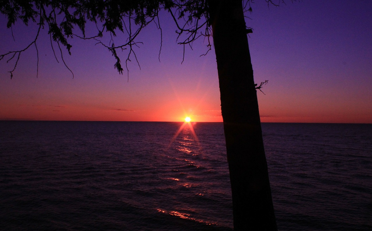 sunset tree lake free photo