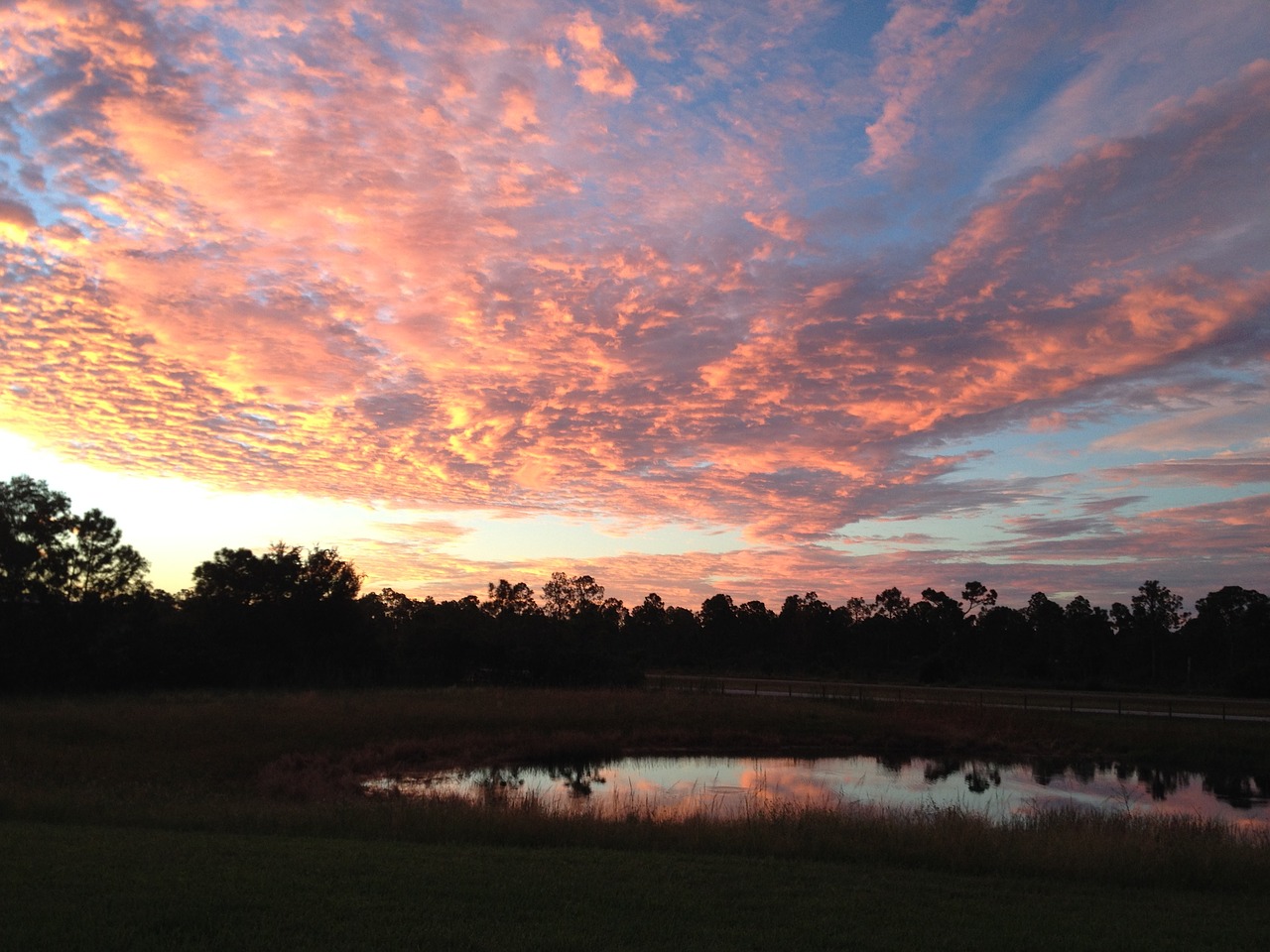 sunset florida sky free photo