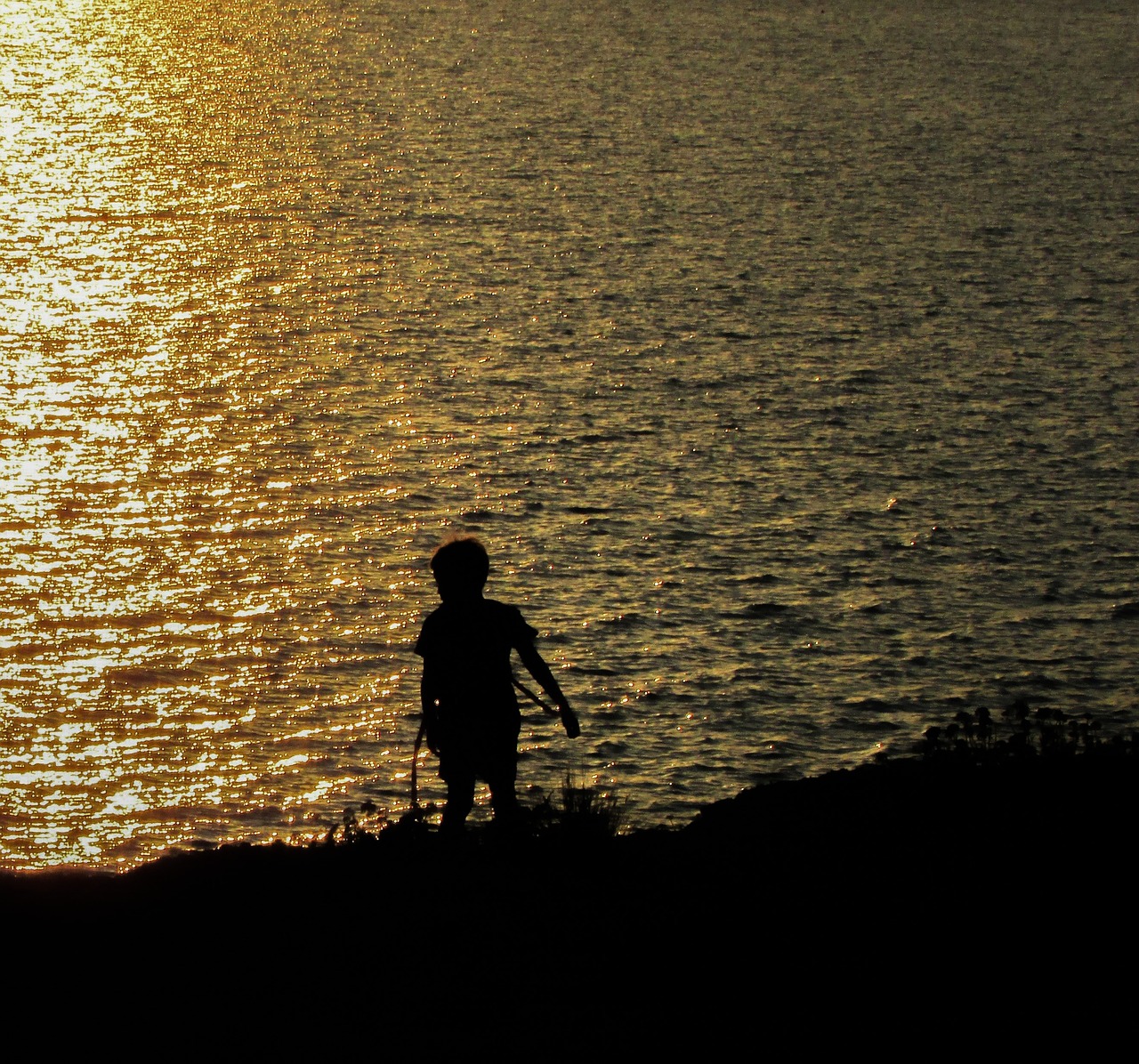 sunset boy kid free photo