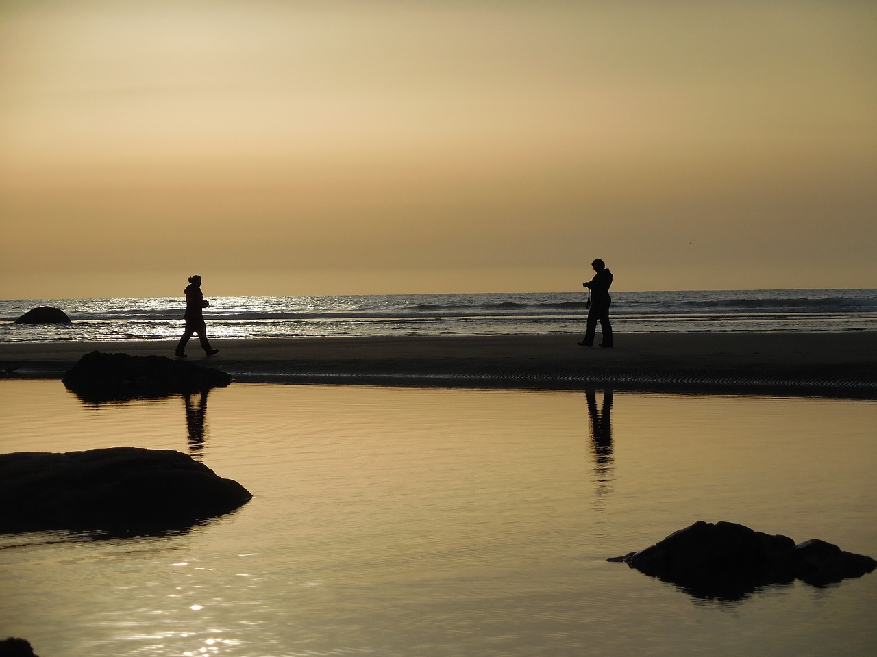 sunset beach ocean free photo