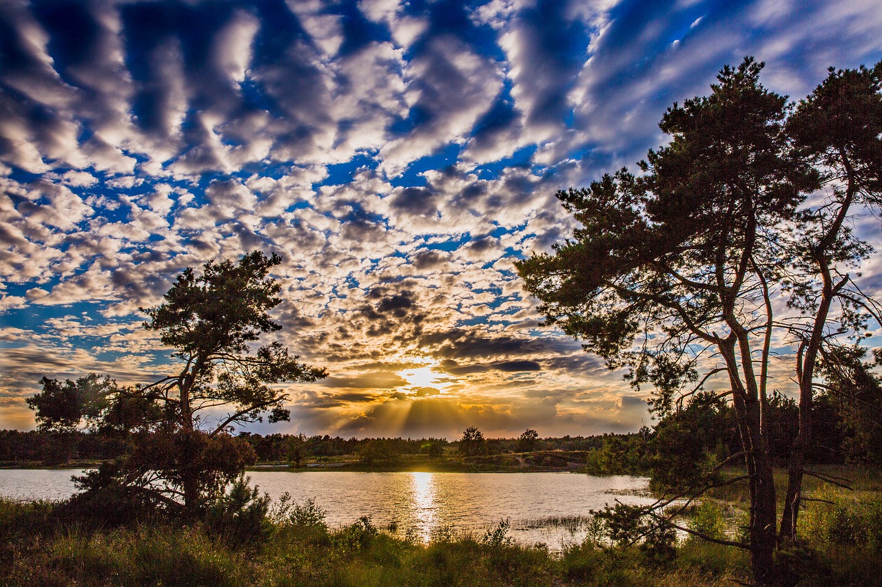 sunset heide nature free photo