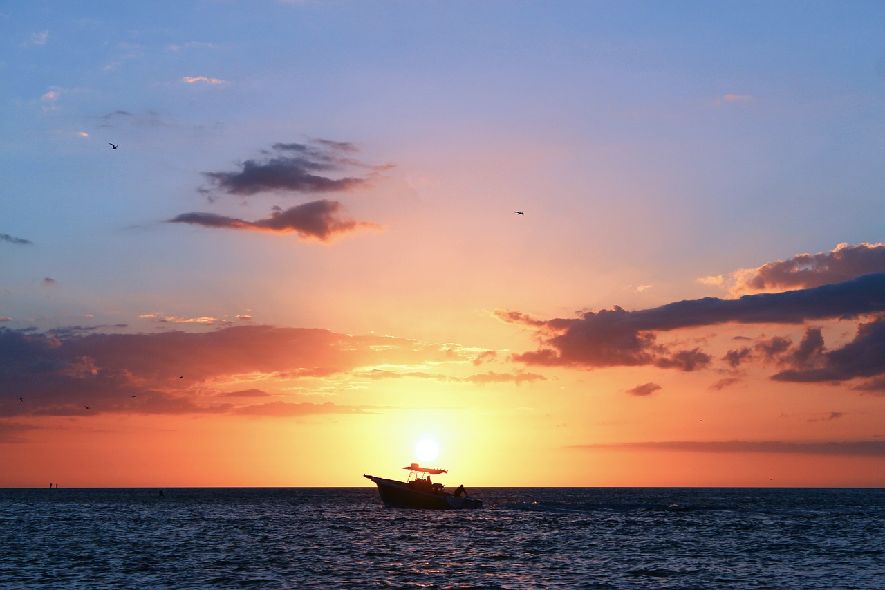 sunset water gulf of mexico free photo