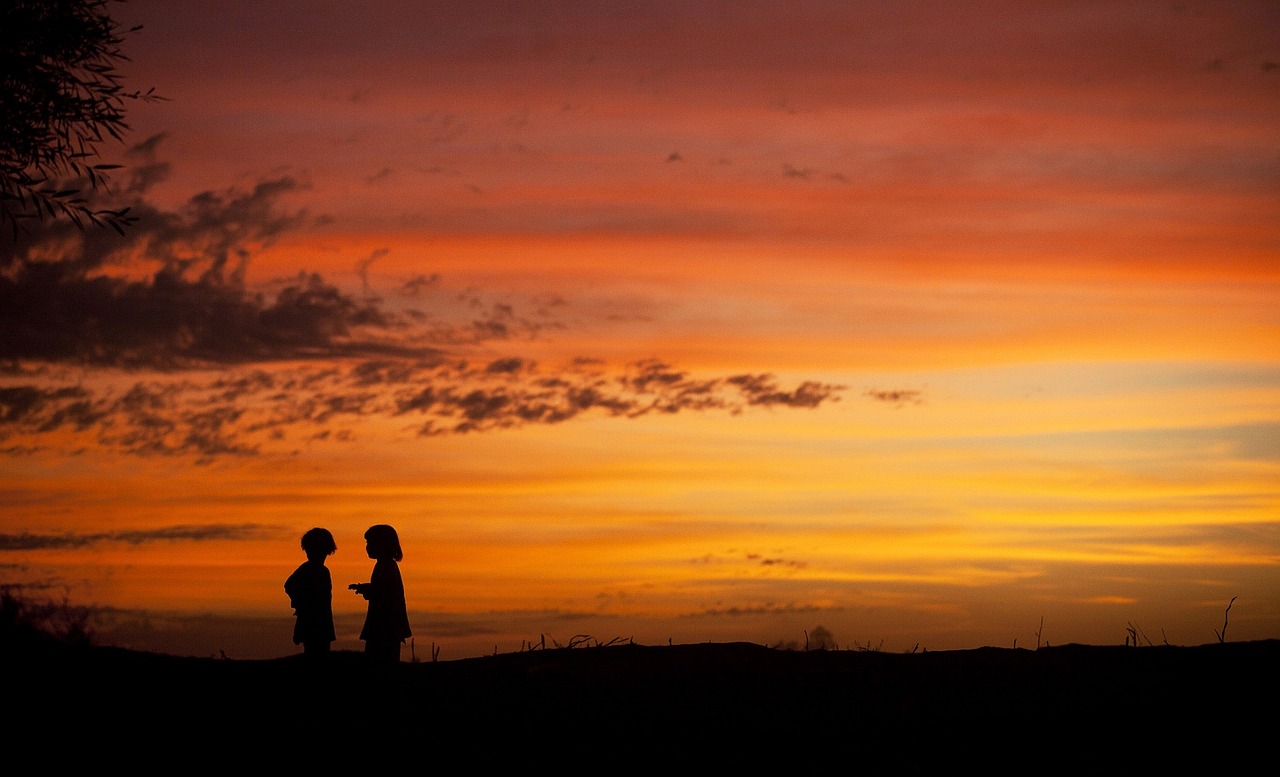 sunset landscape silhouettes free photo