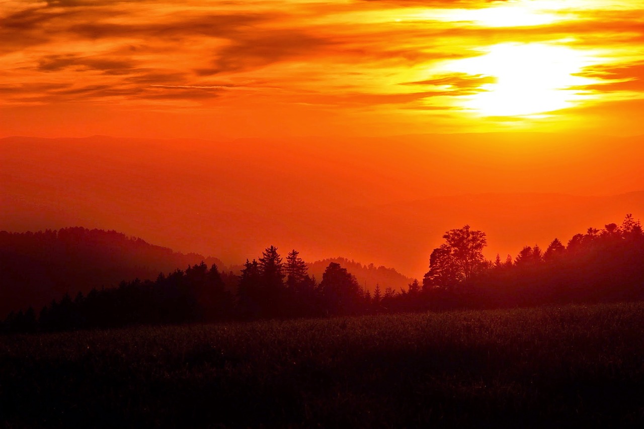 sunset evening sun golden free photo