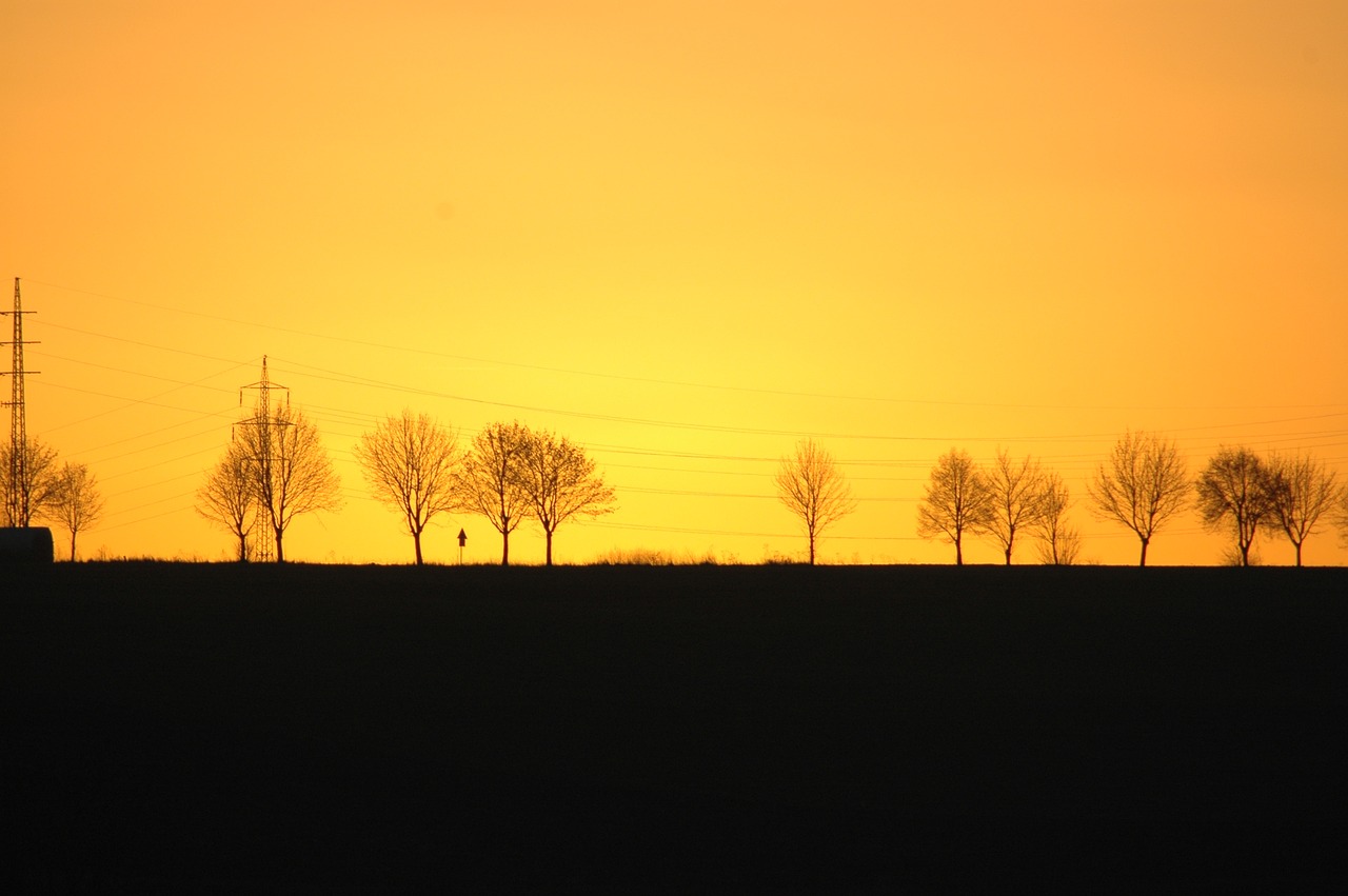 sunset trees silhouettes free photo