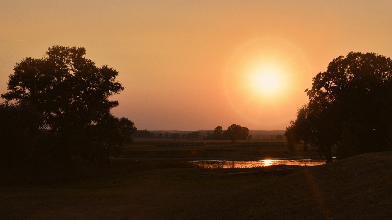 sunset landscape trees free photo