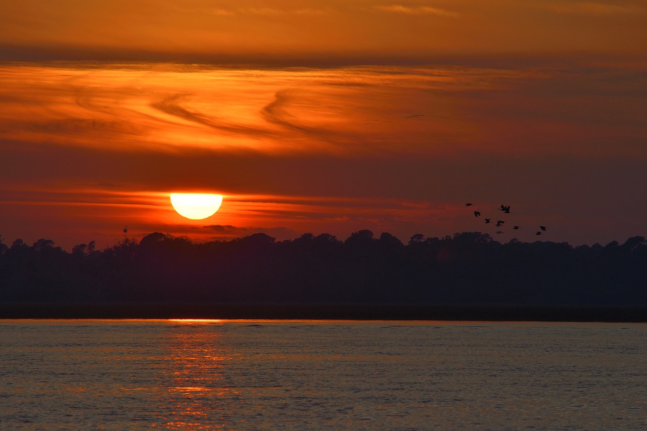 sunset tropical florida free photo