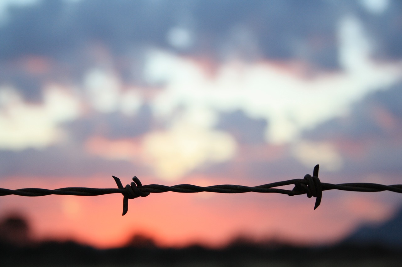 sunset barbed wire fence free photo