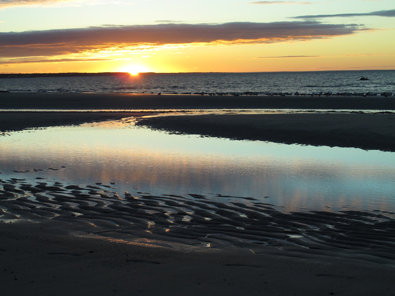 sunset beach ocean free photo