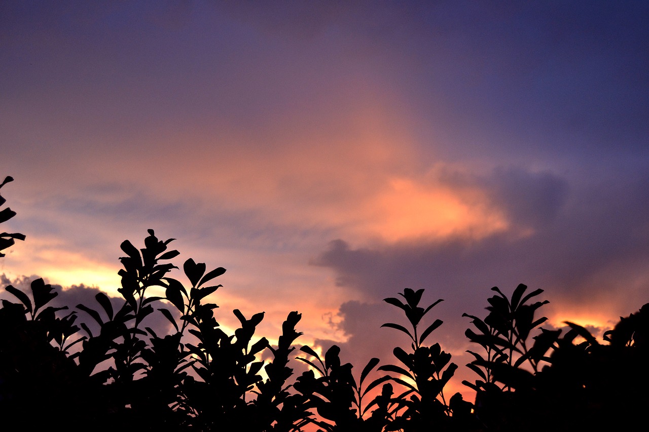 sunset clouds contrast free photo