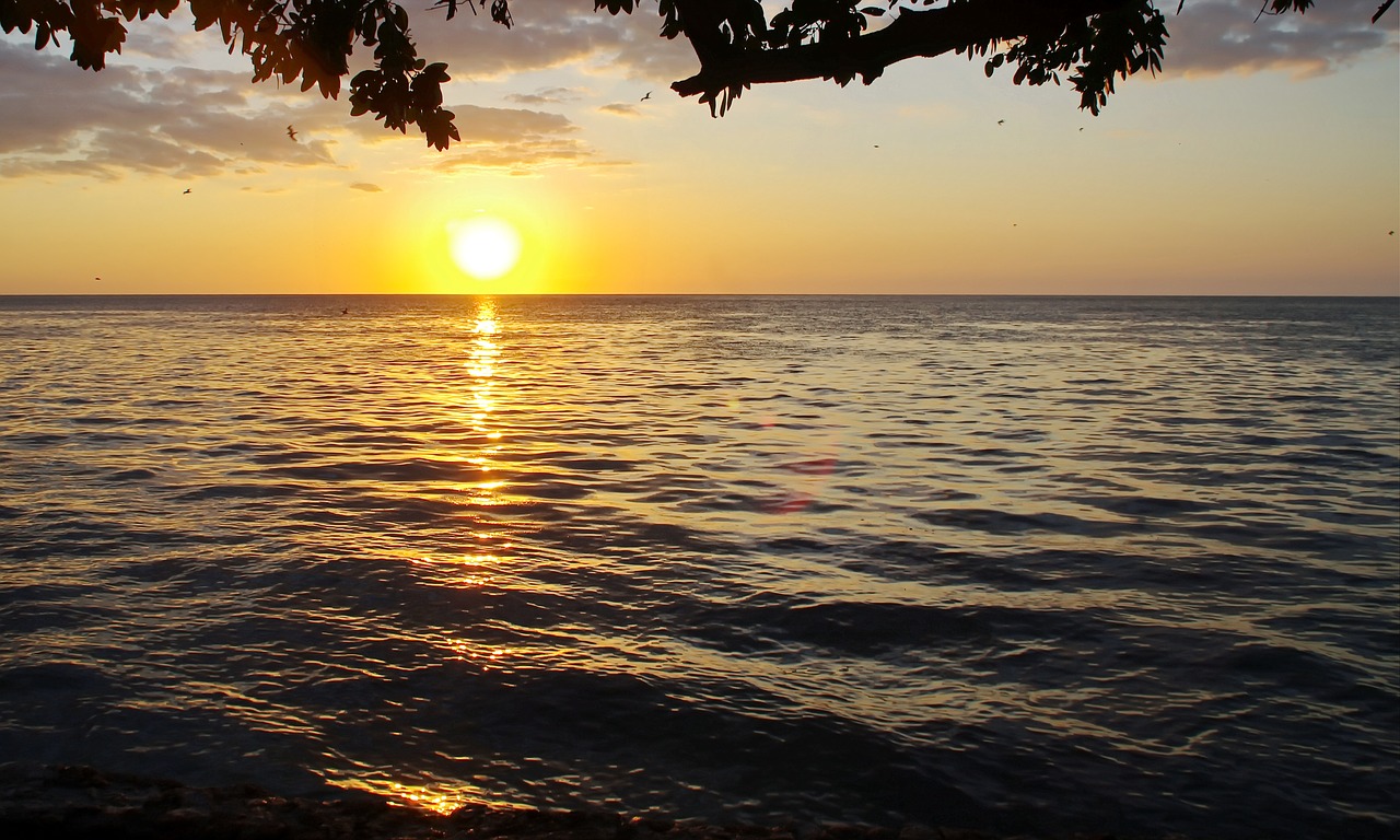 sunset green flash evening free photo