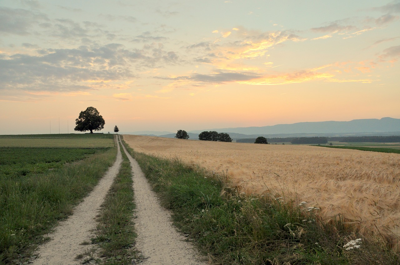 sunset background landscape free photo