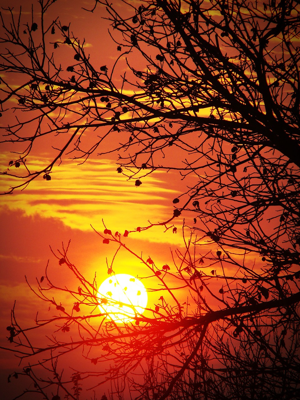 sunset red orange free photo