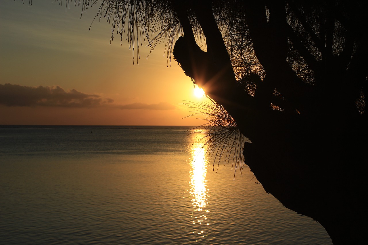 sunset tropics island free photo