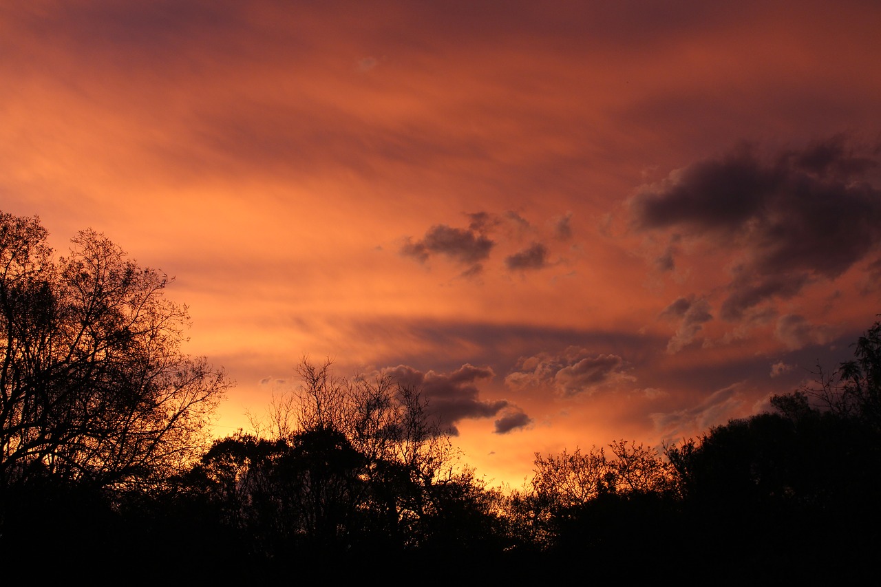 sunset clouds sun free photo