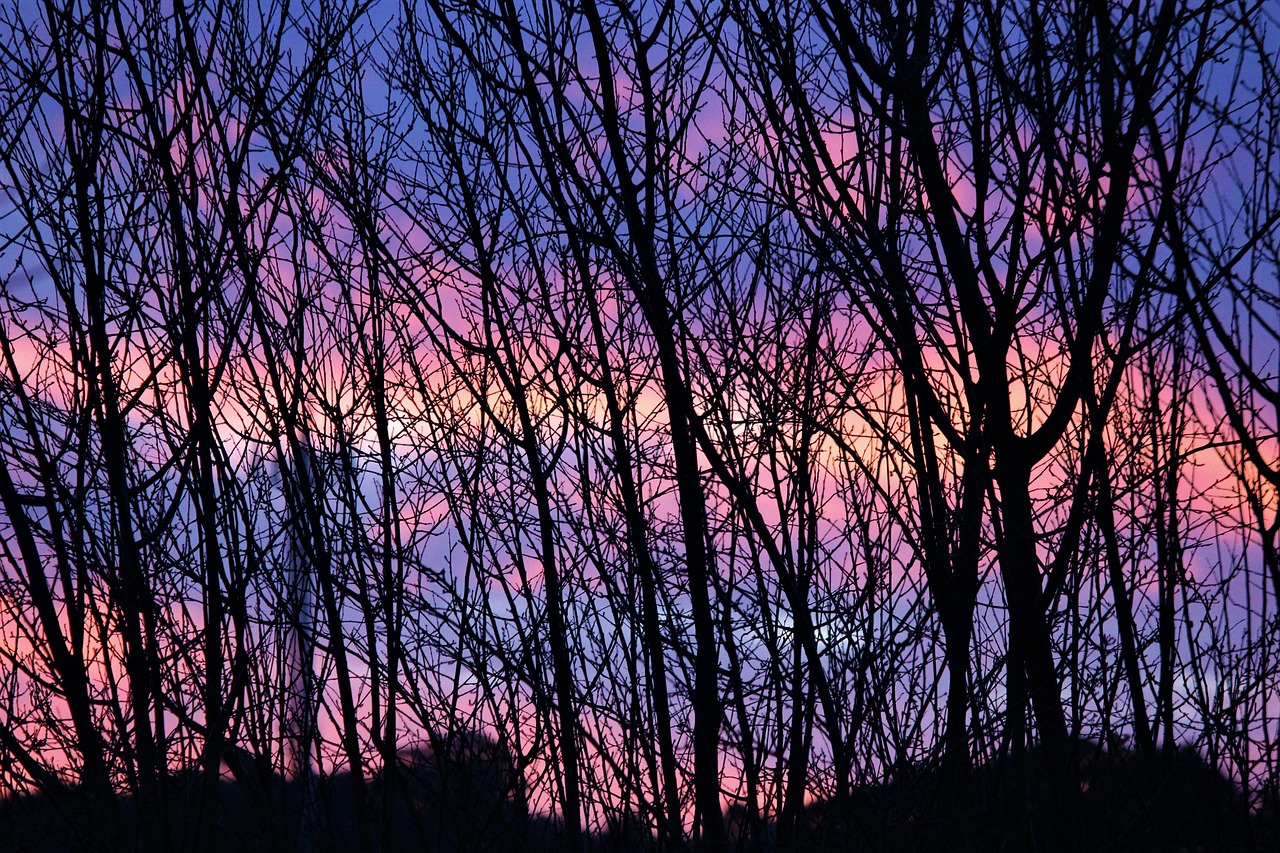 sunset winter ramos free photo