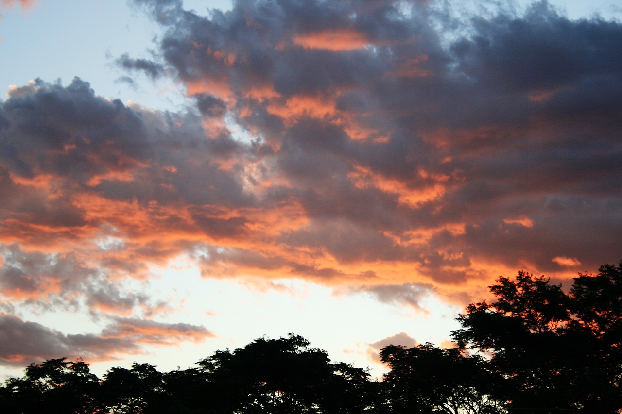 sunset clouds soft orange free photo