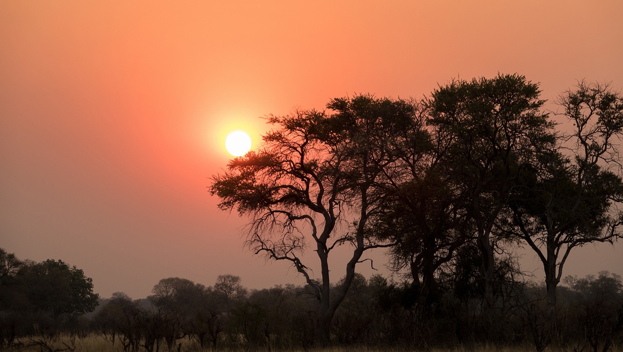 sunset botswana nature shots free photo