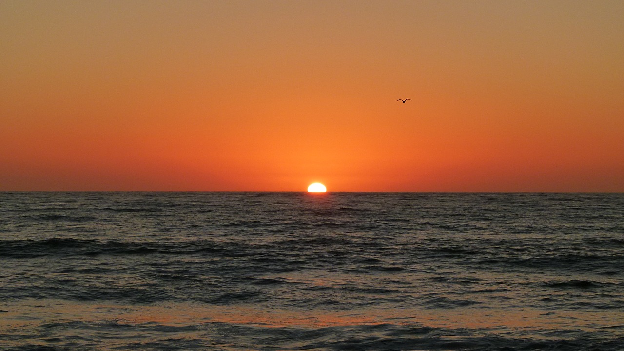 sunset ocean beach pacific free photo